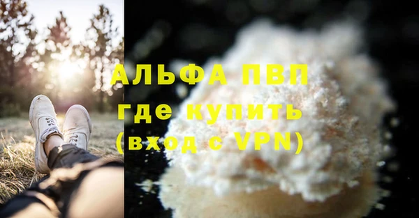 стафф Дрезна