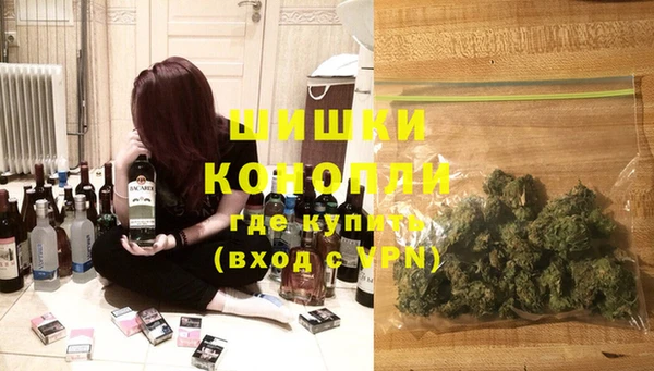 2c-b Пестово