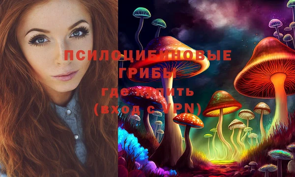 гашик Покров