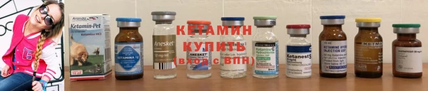 2c-b Пестово