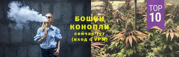 трава Пересвет