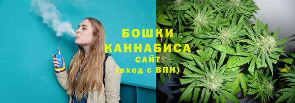 трава Пересвет