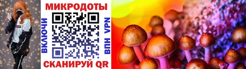 что такое наркотик  Ступино  Псилоцибиновые грибы мицелий 