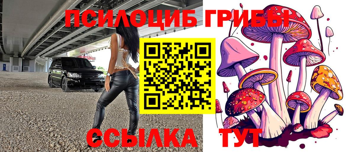 Псилоцибиновые грибы прущие грибы Ступино