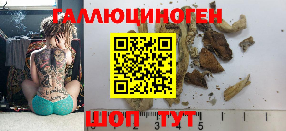 Псилоцибиновые грибы Magic Shrooms Ступино